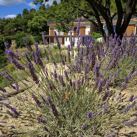 Maison D'edouard, Le Petit Dromois Отель типа 